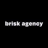 brisk agency logo image