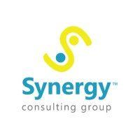 synergy group asia logo image