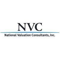 national valuation consultants, inc. logo image