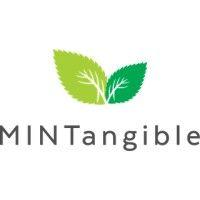 mintangible logo image