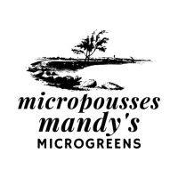 mandy's microgreens logo image