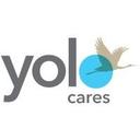 logo of Yolocares