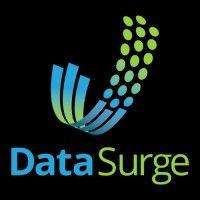 data surge logo image