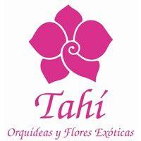 tahí orquídeas y flores exóticas logo image