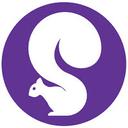 logo of Skill Squirrel