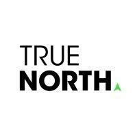 true north consulting group logo image