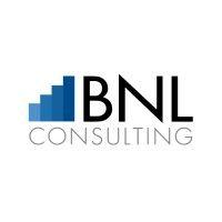 bnl consulting logo image