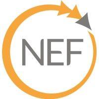 nef logo image