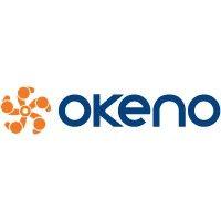 okeno.pl logo image