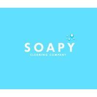 soapy cleaning company logo image