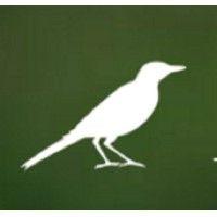 mockingbird credit partners, llc logo image