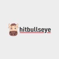 hitbullseye logo image