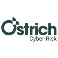 ostrich cyber-risk