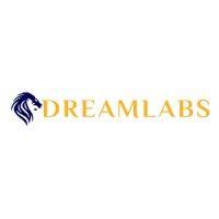 dreamlabs nigeria ltd  - a software company logo image