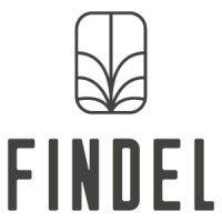 findel logo image