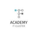 logo of It Cluster Academy