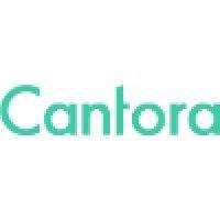 cantora logo image