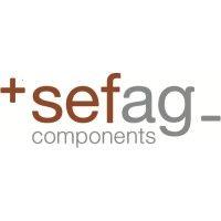 sefag components ag logo image