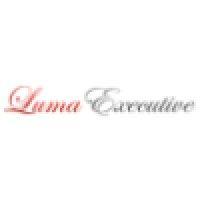 luma executive ab logo image