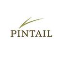 logo of Pintail