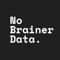 nobrainerdata. logo image