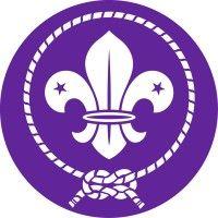 world organization of the scout movement (wosm) logo image