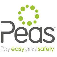 pay easy and safely logo image