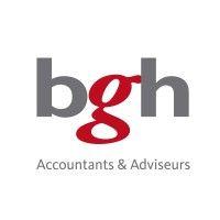 bgh accountants & adviseurs