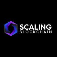 scaling blockchain logo image