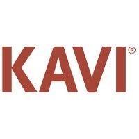 kavi corporation logo image