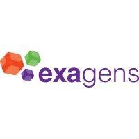 exagens logo image