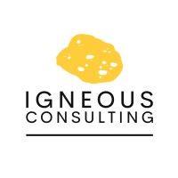 igneous consulting logo image