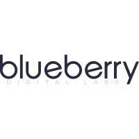 blueberry digital labs ph inc. logo image