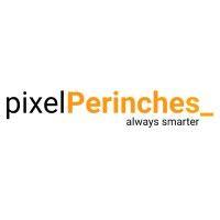 pixelperinches technologies pvt ltd.