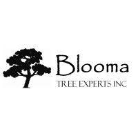 blooma tree experts logo image