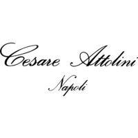 cesare attolini napoli logo image