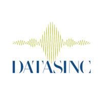 datasinc logo image