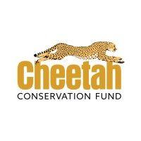 cheetah conservation fund