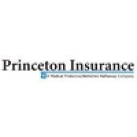 princeton insurance company logo image