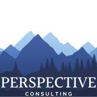 perspective consulting logo image