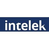 intelek talent solutions logo image