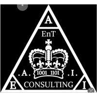 enterprise ai consulting ltd logo image