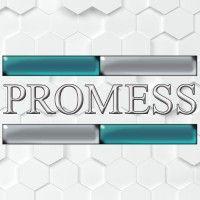 promess logo image