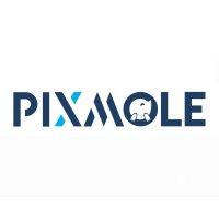 pixmole logo image