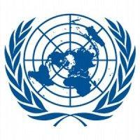 united nations office for disaster risk reduction (undrr) logo image