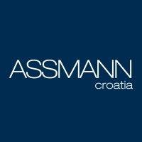 assmann elektronika d.o.o. logo image