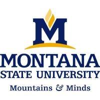 montana state university-bozeman logo image