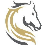 stallions solutions - microsoft gold partner