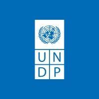 undp moldova logo image