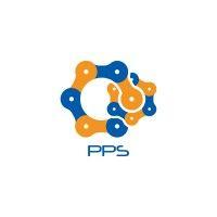 people & project solutions, llc logo image